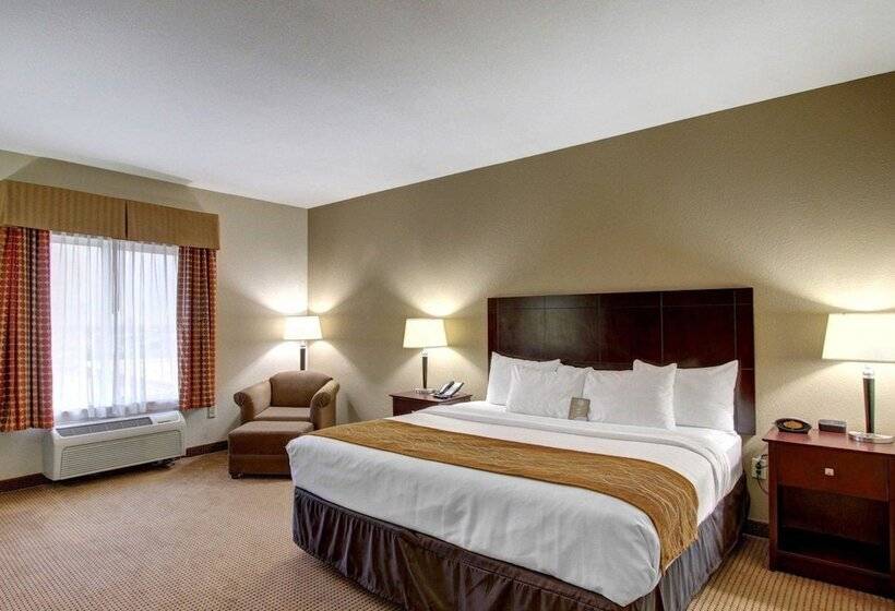 ホテル Comfort Inn & Suites