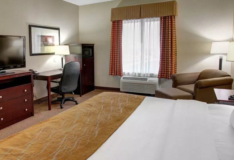 Отель Comfort Inn & Suites