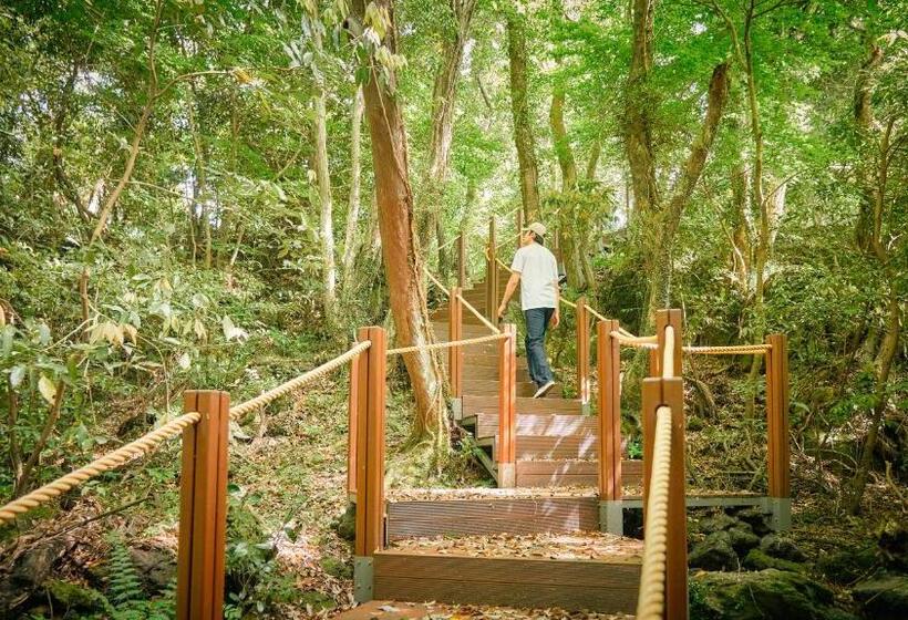 בית מלון כפרי Mercure Ambassador Jeju