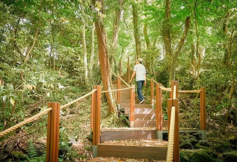 호텔 Mercure Ambassador Jeju