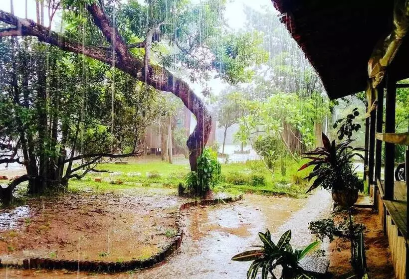 호텔 Pousada Bosque Dos Aruas