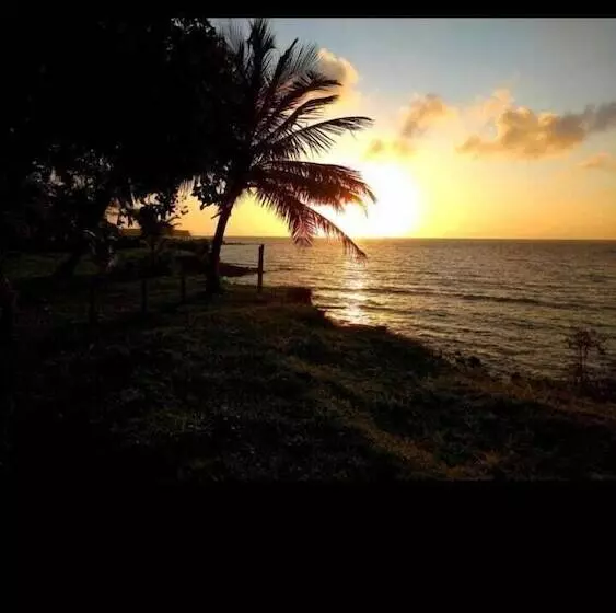 호텔 Pousada Bosque Dos Aruas