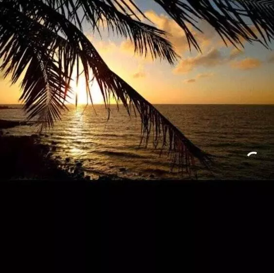 호텔 Pousada Bosque Dos Aruas