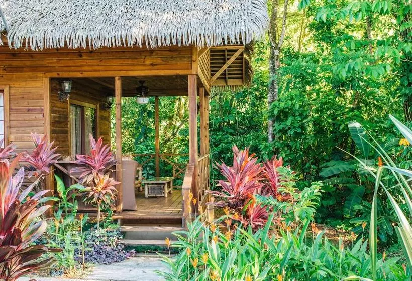 هتل Red Frog Beach Island Resort