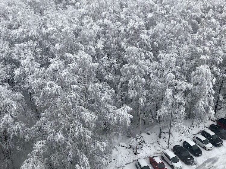 Sunflower Hotel Rumyantsevo