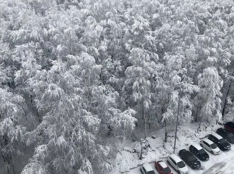 Sunflower Hotel Rumyantsevo