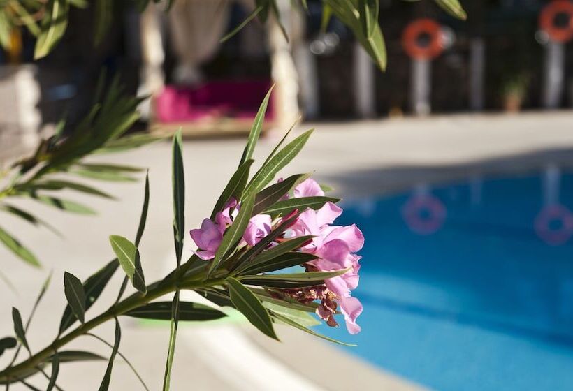 Gokcen Hotel & Apartments