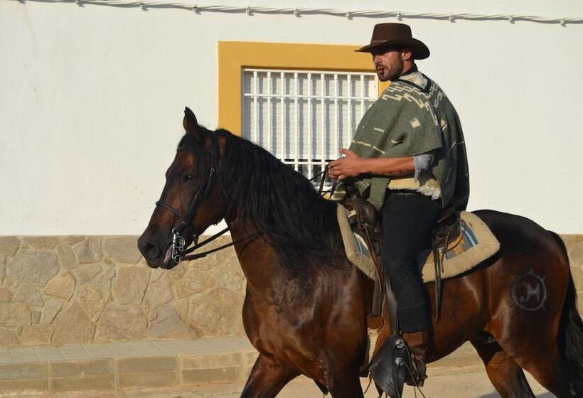 Hostal Restaurante Alba