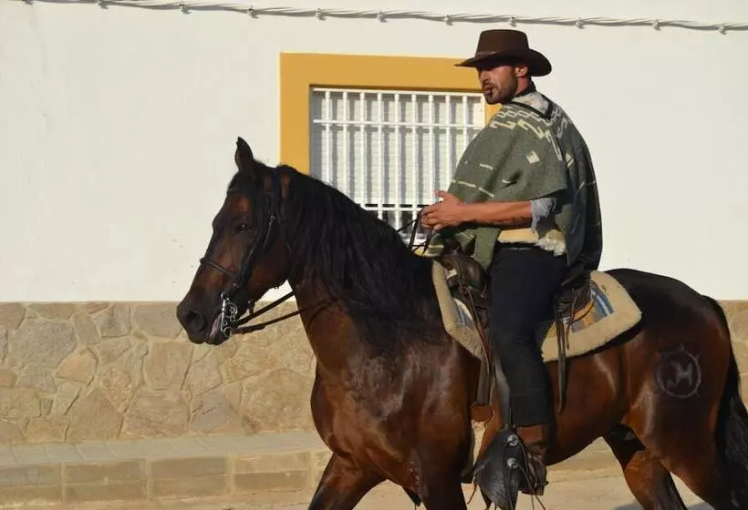 Hostal Restaurante Alba