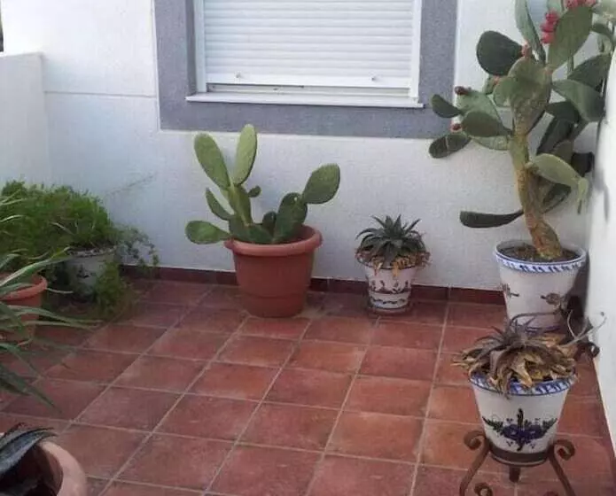 Hostal Restaurante Alba