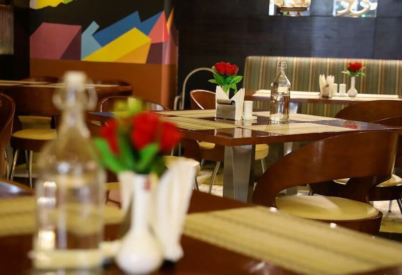 Hotel Ds Clarks Inn Gurgaon