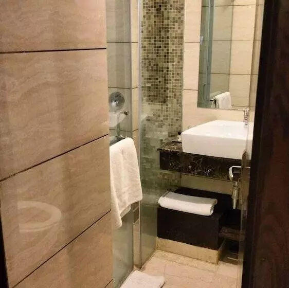 Hotel Ds Clarks Inn Gurgaon