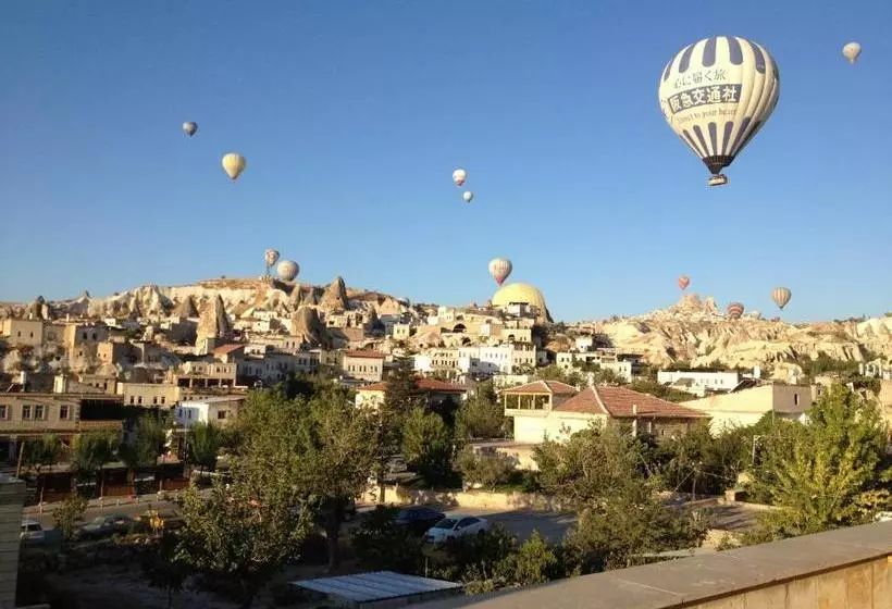 בית מלון כפרי Walnut House