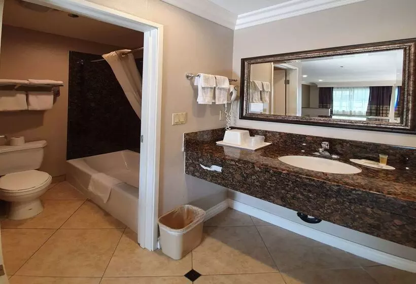 Отель Super 8 By Wyndham Cypress Buena Park Area