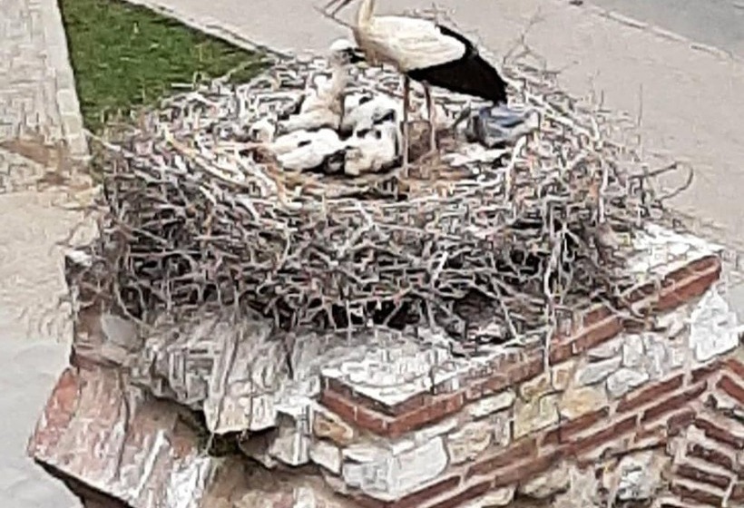 בית מלון כפרי Wallabies Aquaduct