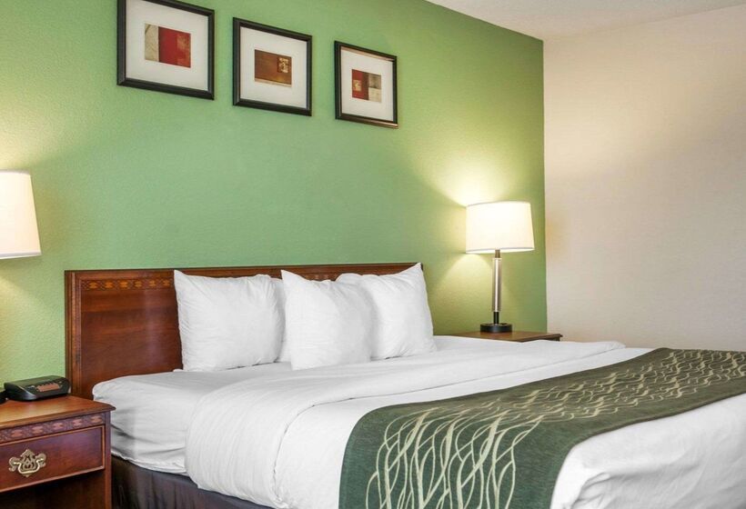 Отель Comfort Inn