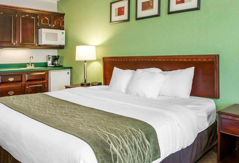 Отель Comfort Inn