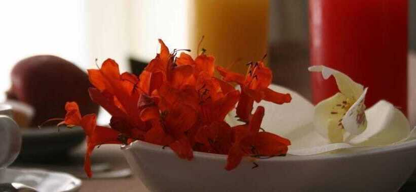 בית מלון כפרי Dei Coloniali