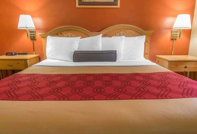 Отель Econo Lodge