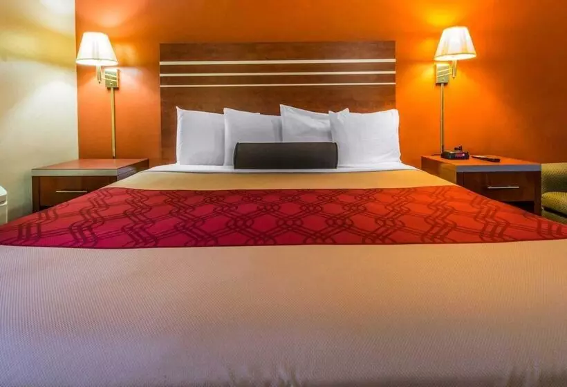 Отель Econo Lodge