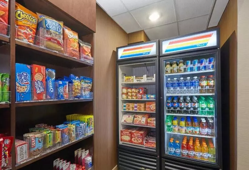 ホテル Fairfield Inn And Suites Chicago Lombard