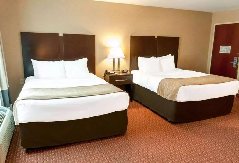 ホテル Spark By Hilton Exton