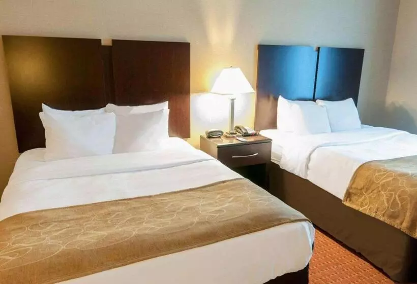 ホテル Spark By Hilton Exton