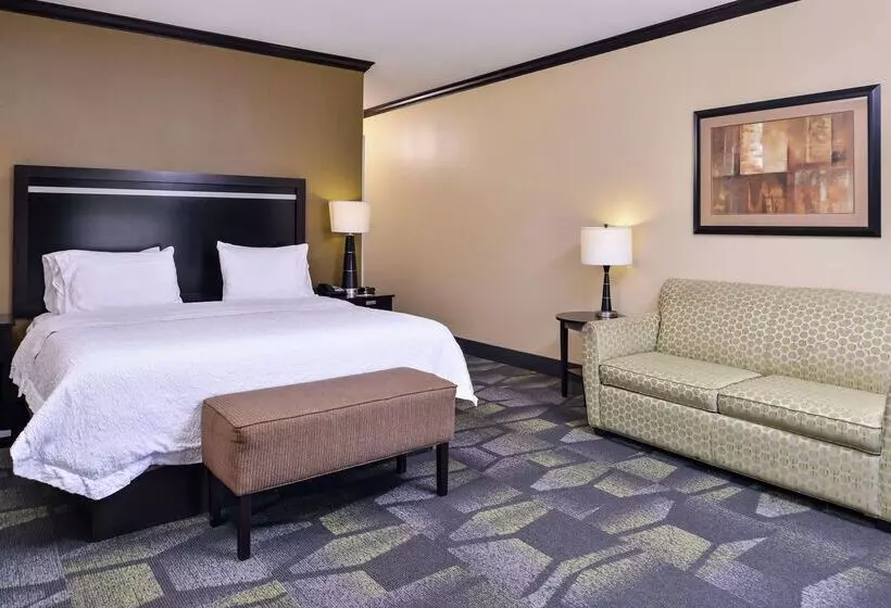 호텔 Hampton Inn & Suites Big Spring