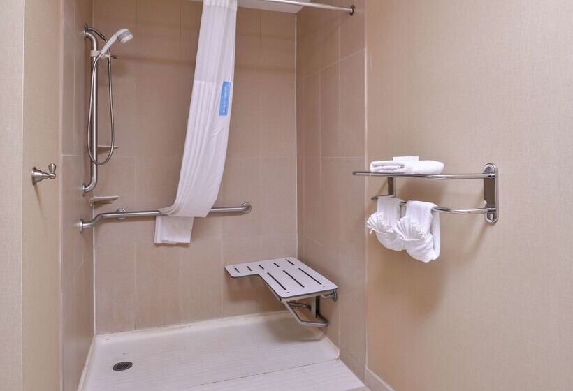 Hotel Hampton Inn & Suites Big Spring