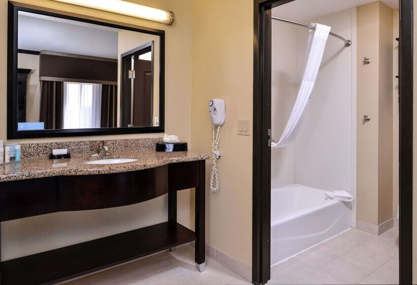 Hotel Hampton Inn & Suites Big Spring