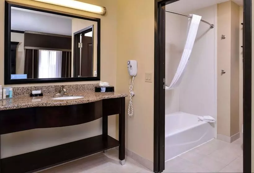 호텔 Hampton Inn & Suites Big Spring