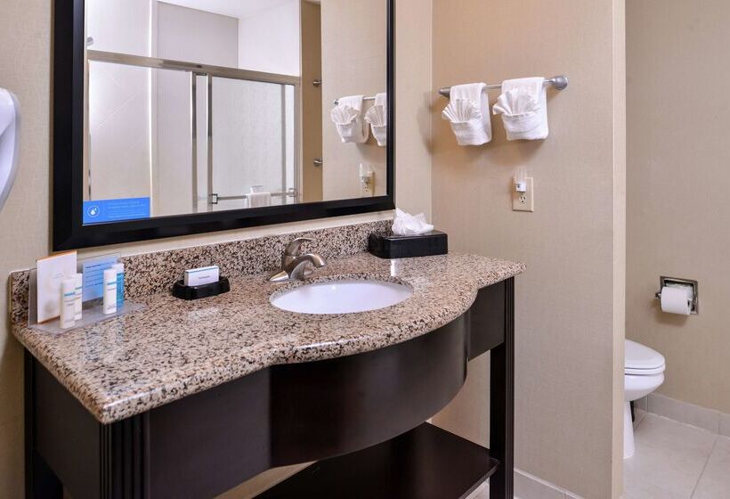 Hotel Hampton Inn & Suites Big Spring