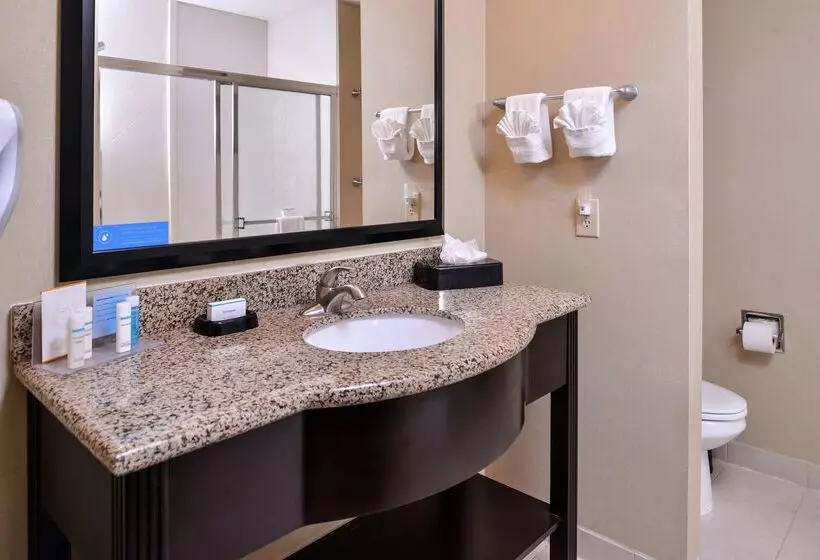 호텔 Hampton Inn & Suites Big Spring