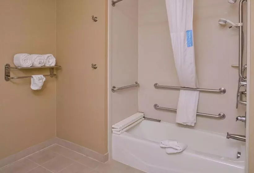 호텔 Hampton Inn & Suites Big Spring