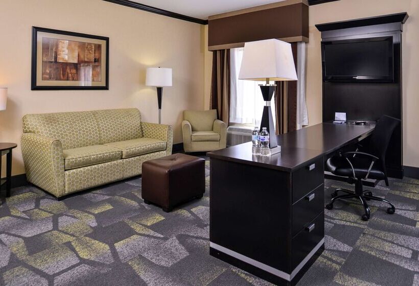 Hotel Hampton Inn & Suites Big Spring