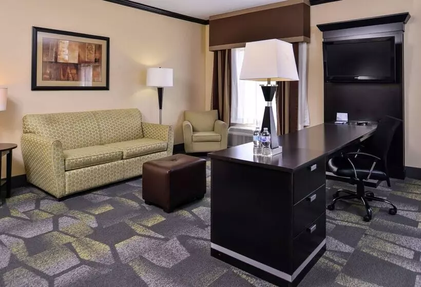 호텔 Hampton Inn & Suites Big Spring