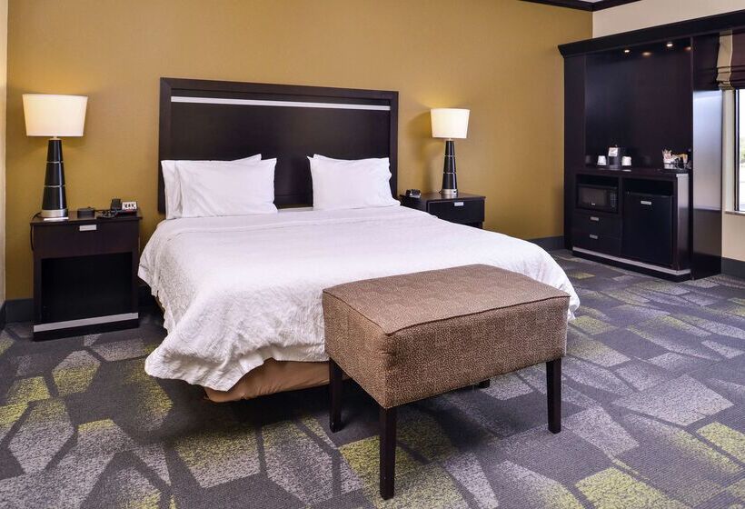 Hotel Hampton Inn & Suites Big Spring