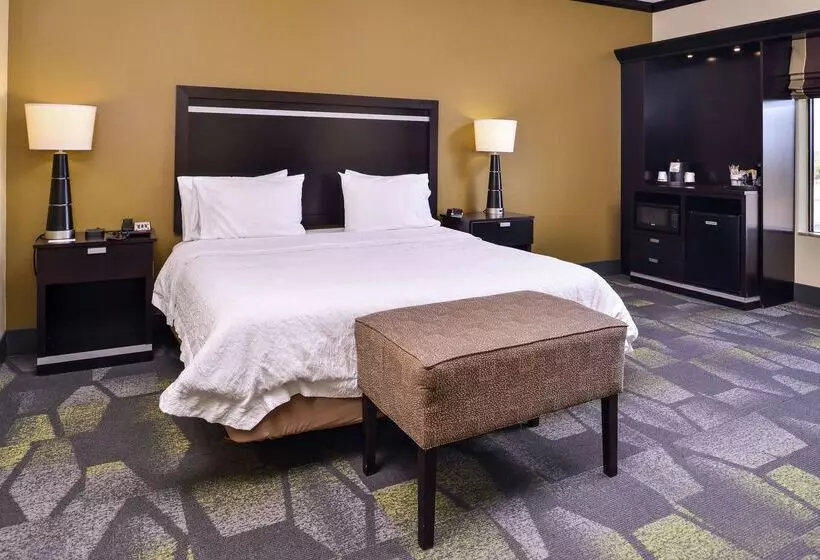 호텔 Hampton Inn & Suites Big Spring