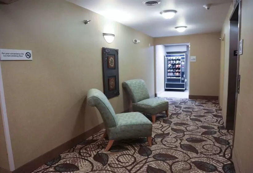 Hotel Hampton Inn Morehead