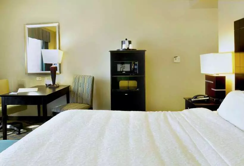 فندق Hampton Inn Gadsden/attalla I59