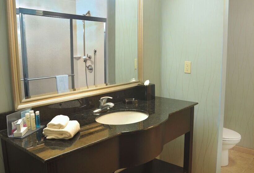 호텔 Hampton Inn Gadsden/attalla I59