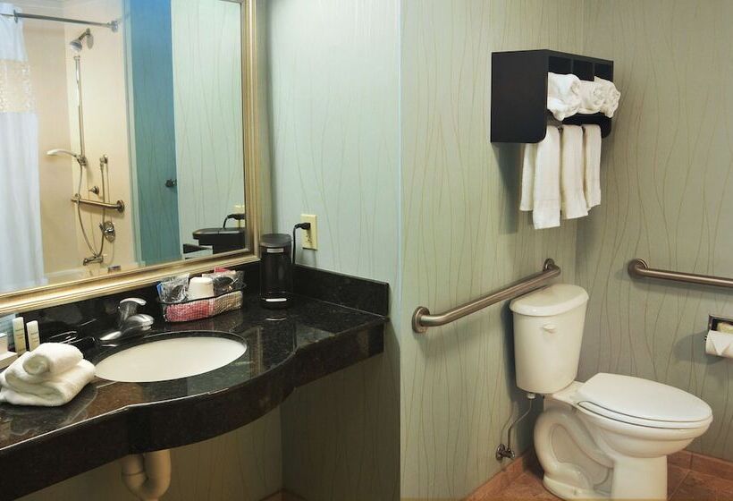 호텔 Hampton Inn Gadsden/attalla I59