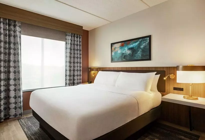 Отель Hilton Garden Inn Palm Coast Town Center