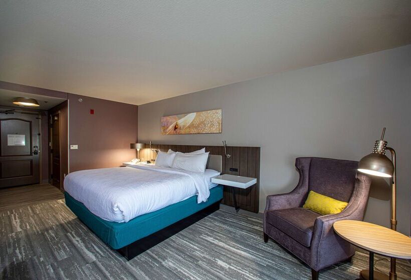 فندق Hilton Garden Inn Rapid City