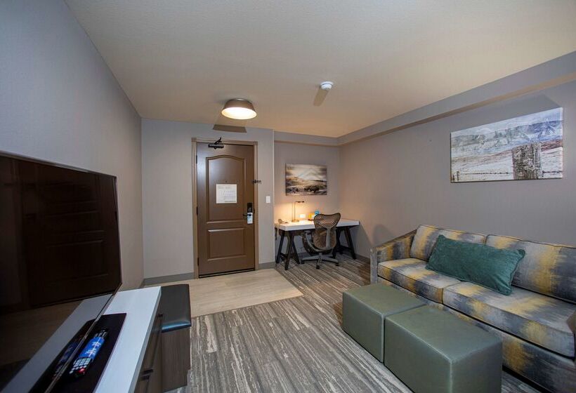 فندق Hilton Garden Inn Rapid City