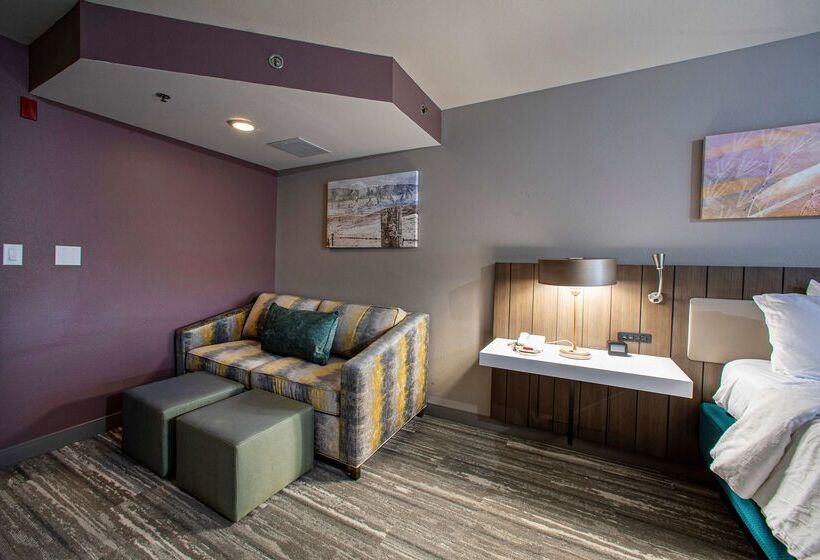 فندق Hilton Garden Inn Rapid City