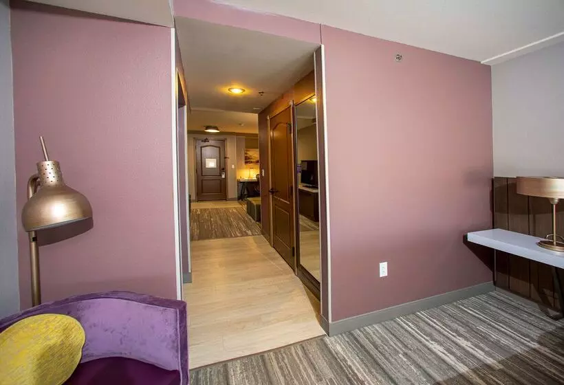 Hôtel Hilton Garden Inn Rapid City