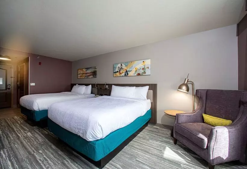 Hôtel Hilton Garden Inn Rapid City