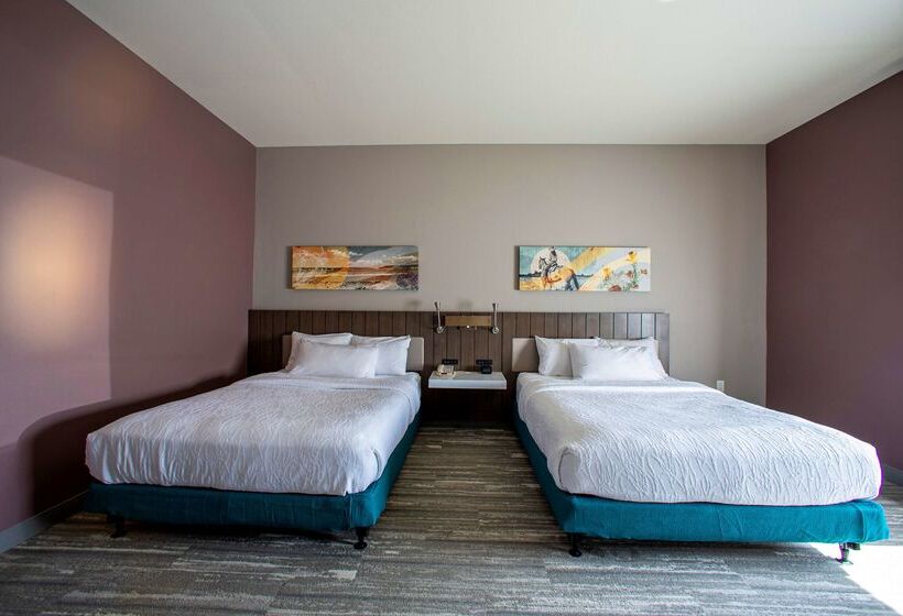 فندق Hilton Garden Inn Rapid City