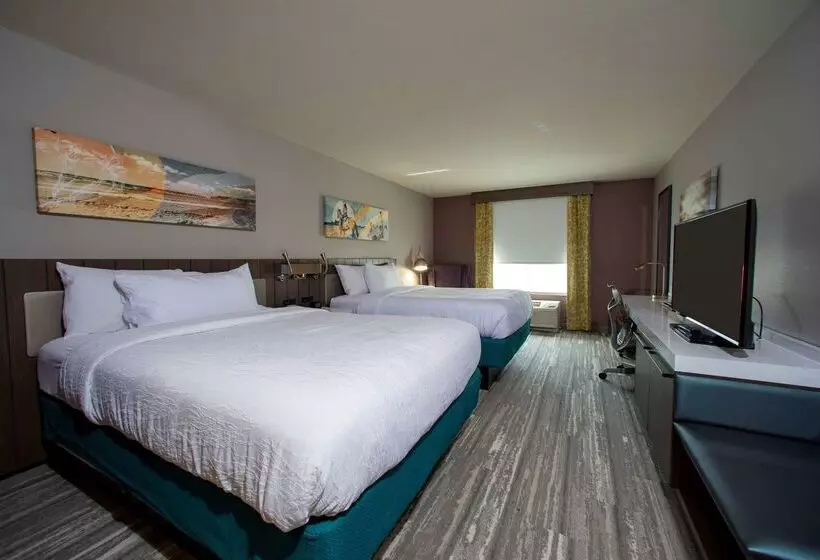 Hôtel Hilton Garden Inn Rapid City